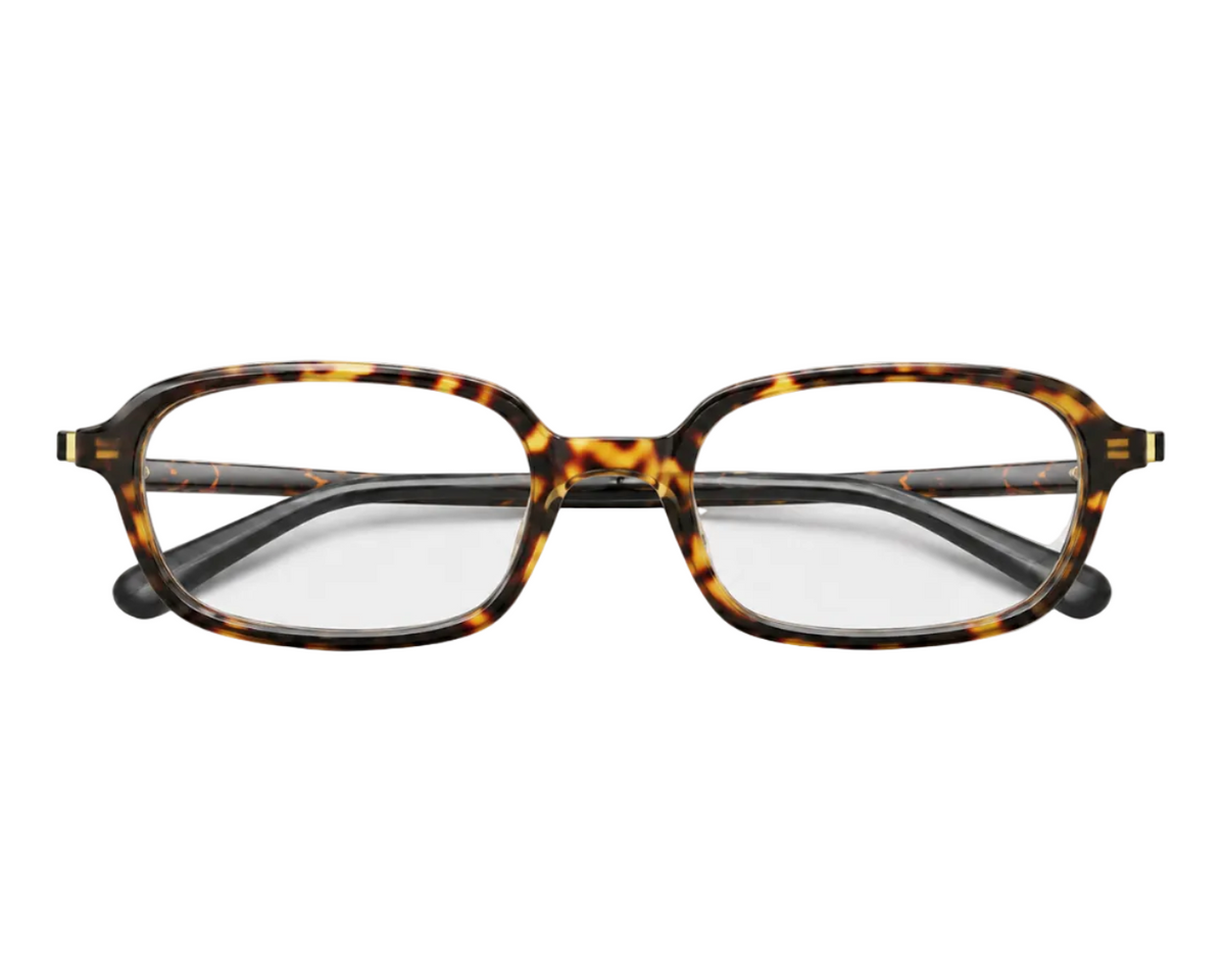 Nomi LeopardxTransparent
